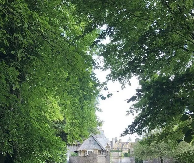 A shaded country path under trees on the Hinton St Mary Estate