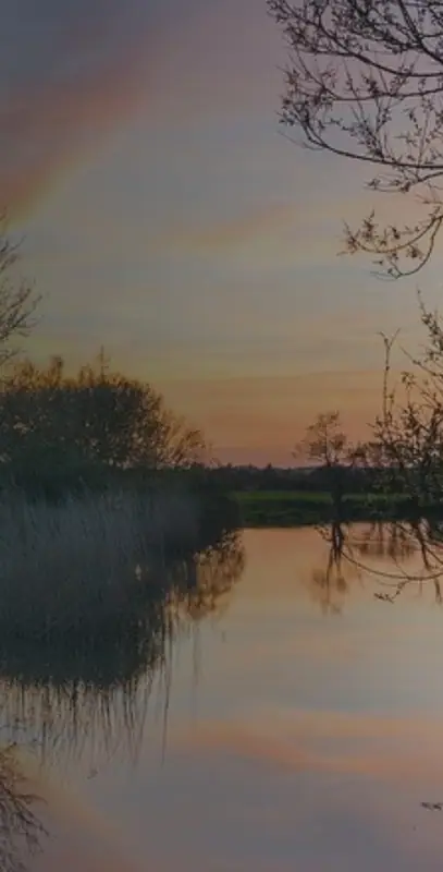 Dusk light over still water on the Hinton St Mary Estate
